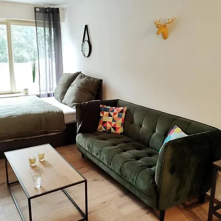Ein-zimmer Mit Aussicht Bad Wildbad