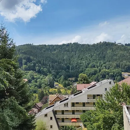 Ein-zimmer Mit Aussicht Apartment Bad Wildbad