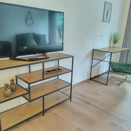 Ein-zimmer Mit Aussicht Apartment *